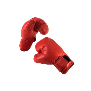 Boxing Gloves - HK-PF-015
