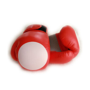 Boxing Gloves - HK-PF-016